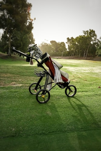Utility Golf Cart with Storage