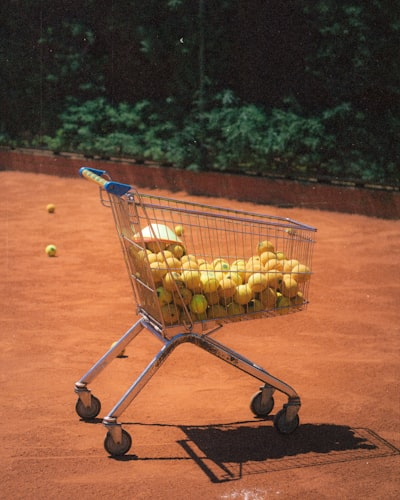 Electric Utility Cart