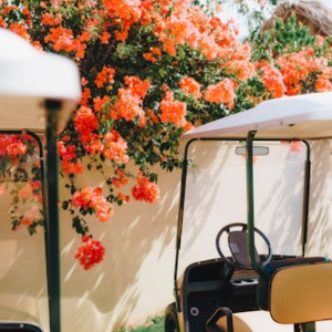 Customizable Golf Cart