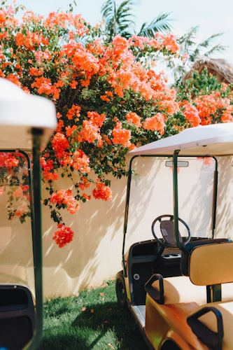 Customizable Golf Cart